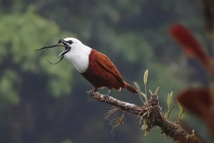 Walking Reserve Curi-Cancha - Photo 1 of 7